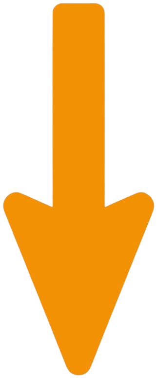 image removebg preview (48)